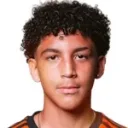 Matthew Arana — Tiền vệ, Houston Dynamo