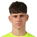 Haris Alić — Thủ môn, FK Novi Pazar