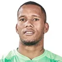 Ricardo Goss — Thủ môn, Mamelodi Sundowns