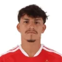 Alexandro Bernabei — Hậu vệ, Internacional