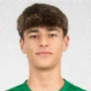 Dinis Miguel Henriques — Thủ môn, Ançã FC
