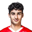 Martin Adeline — Tiền vệ, Hamburger SV