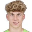 Harald Postl — Thủ môn, TSV Hartberg
