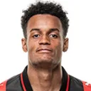 Paulinho — Hậu vệ, Botafogo
