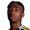 Dorgeles Nene — Tiền đạo, Fenerbahçe