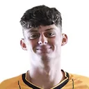 Sebastian Palmer-Houlden — Tiền đạo, Motherwell