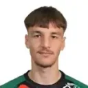 Nermin Mesic — Tiền vệ, SV Ried