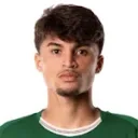 Larson — Tiền vệ, Palmeiras