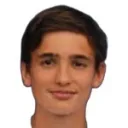 Andrea Le Borgne — Tiền vệ, Hellas Verona