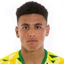 Josh Coley — Tiền vệ, Maidenhead United