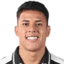 Matheus Martins — Tiền đạo, Botafogo