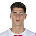 Sava Arangel Čestić — Hậu vệ, FC Voluntari