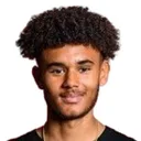 Jordan Zirkzee — Tiền đạo, AS Trenčín
