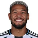 Joelinton — Tiền vệ, Newcastle United