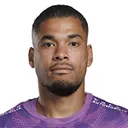 Warleson — Thủ môn, Botafogo