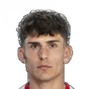 Tobias Hedl — Tiền đạo, SV Zulte Waregem
