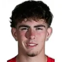 Nico Mikulic — Hậu vệ, Kapfenberger SV