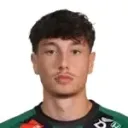 Alessandro Goiginger — Hậu vệ, SV Ried