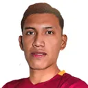 D. Fernandez — cầu thủ
