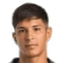 Martin Garcia — Tiền vệ, Aldosivi