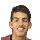Blas Agustín Palavecino — Tiền đạo, Aldosivi