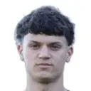Nemanja Zarić — Tiền vệ, FK Železničar Pančevo