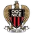 Logo Nice