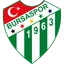 Logo Bursaspor