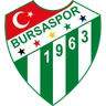 Logo Bursaspor