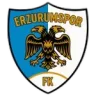 Logo Erzurumspor FK