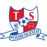 Logo Podbeskidzie Bielsko-Biała