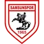 Logo Samsunspor