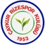 Logo Çaykur Rizespor