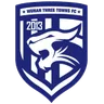 Logo Wuhan Three Towns