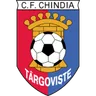 Logo Chindia Târgoviște