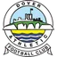 Logo Dover Athletic