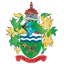 Logo Chertsey Town