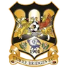 Logo Three Bridges FC