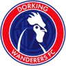 Logo Dorking Wanderers