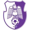 Logo FC Argeș Pitești
