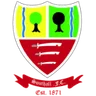 Logo Southall FC