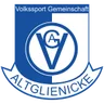 Logo VSG Altglienicke