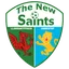 Logo The New Saints