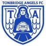 Logo Tonbridge Angels