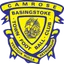 Logo Basingstoke Town