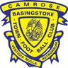 Logo Basingstoke Town