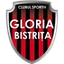Logo CS Gloria Bistrița