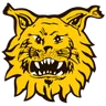 Logo Ilves