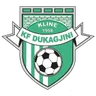 Logo Dukagjini