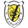 Logo Kalcer Radomlje